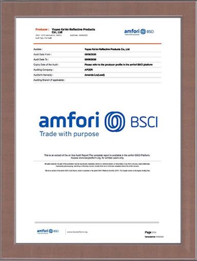 BSCI Reflective