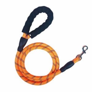 Best Reflective Dog Leash